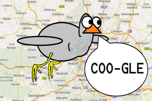 Coogle, the Google Pigeon